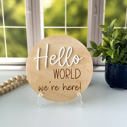 Twin Baby Hello World Sign: Acrylic Newborn Photo Prop