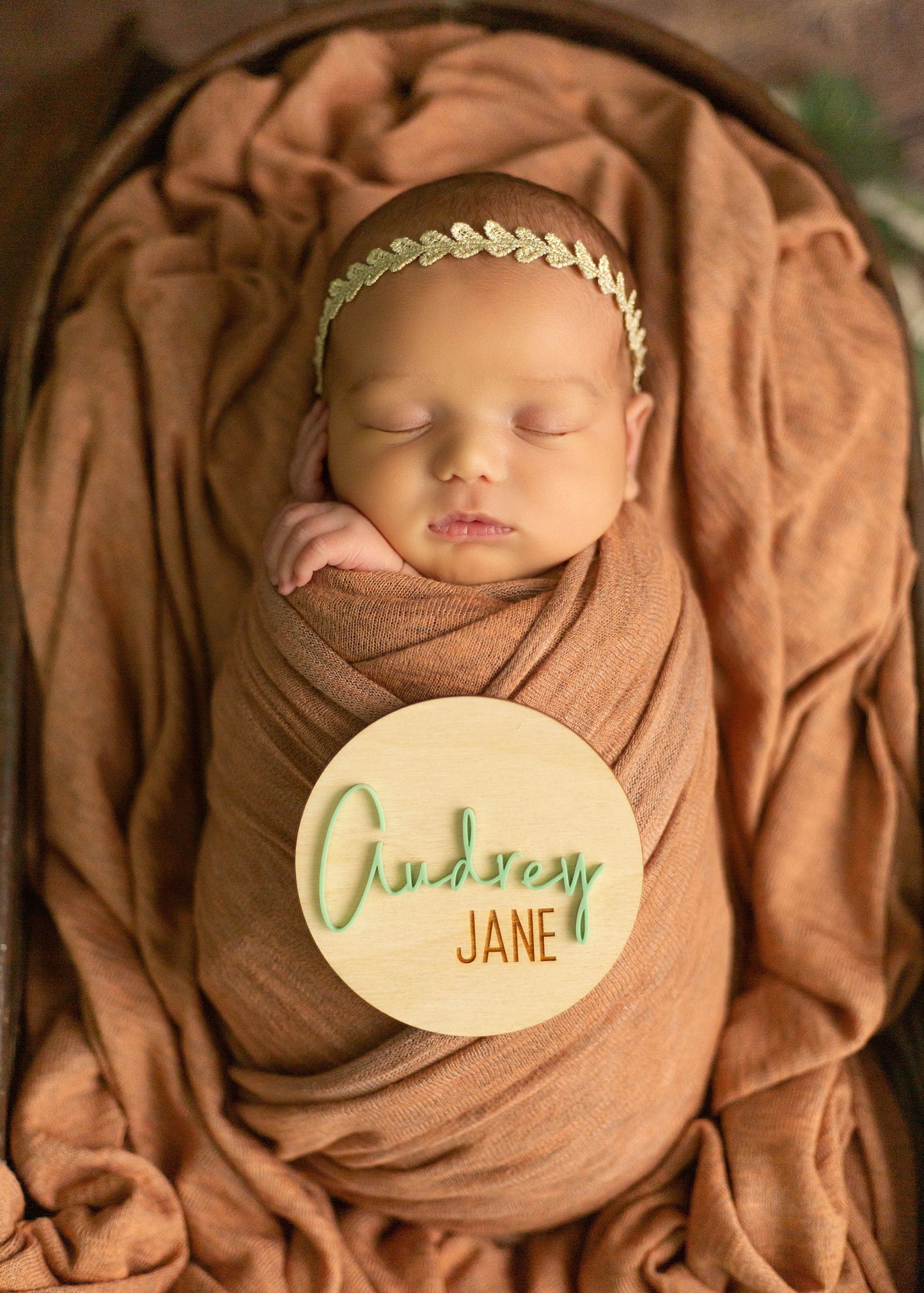 Audrey Jane Monthly Milestone Cards