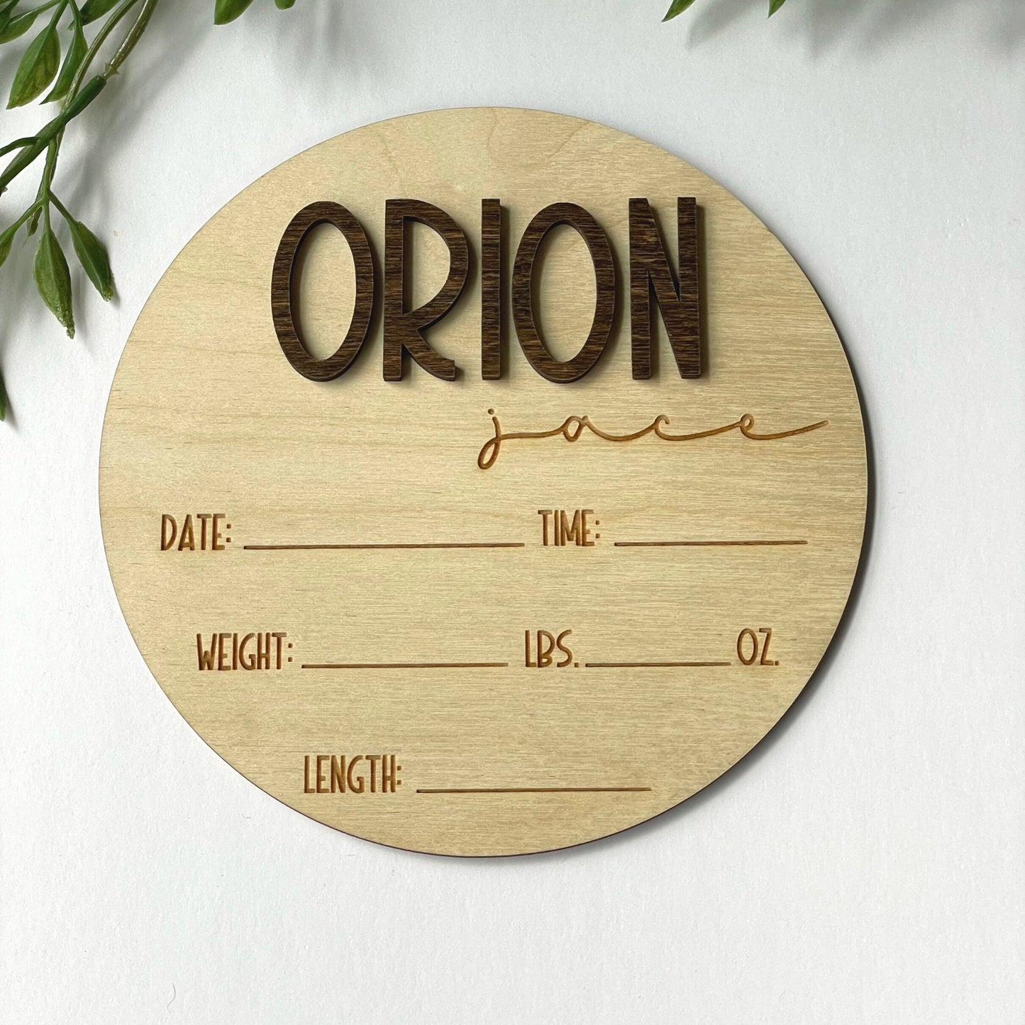 Wooden Birth Announcement Sign: Newborn Photo Prop, Birth Stats