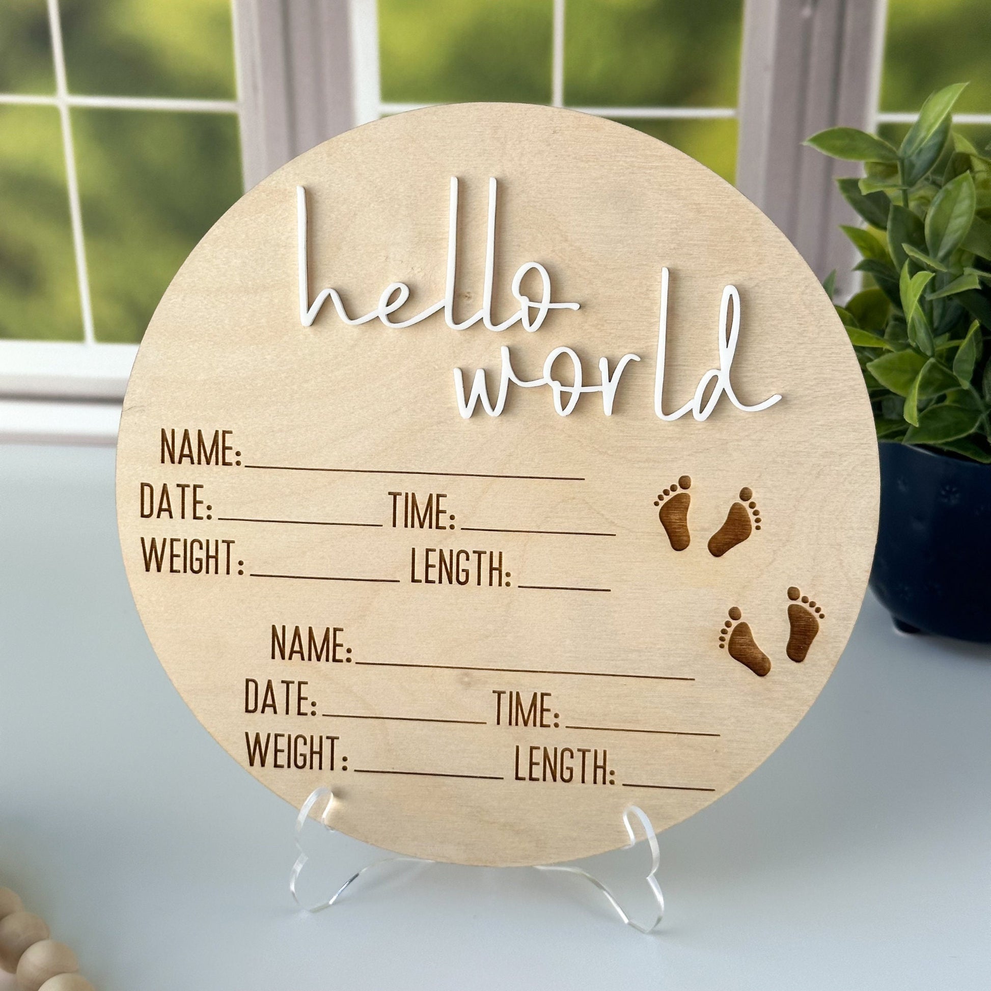 Twin Birth Announcement Sign: Hello World, Birth Stats