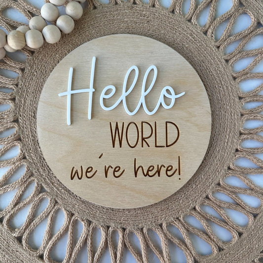 Twin Baby Hello World Sign: Acrylic Newborn Photo Prop