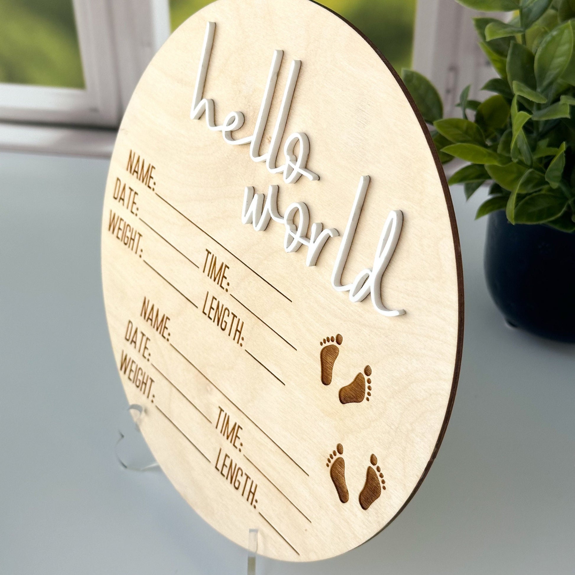 Twin Birth Announcement Sign: Hello World, Birth Stats