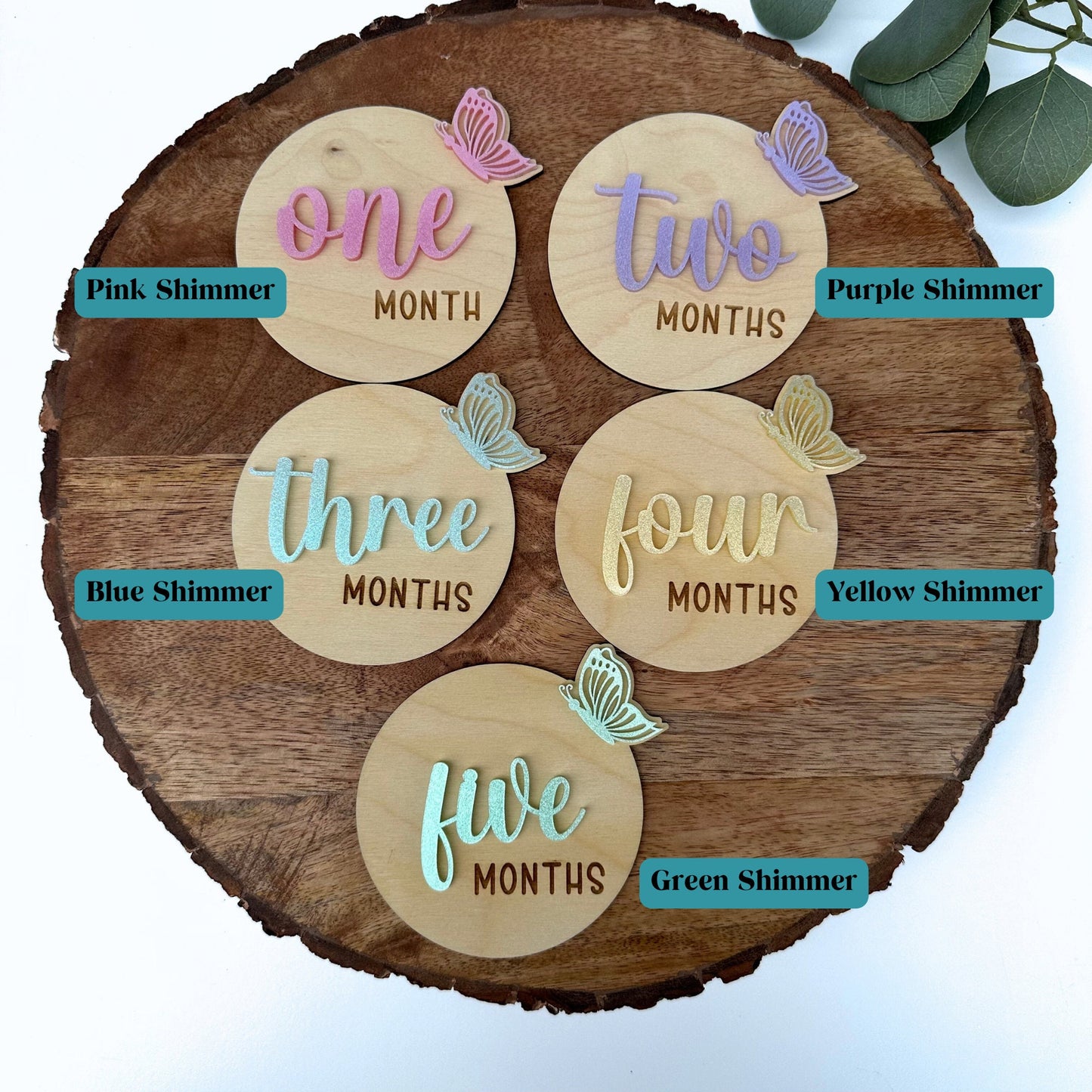Butterfly Baby Milestone Cards: Newborn Photo Prop Set