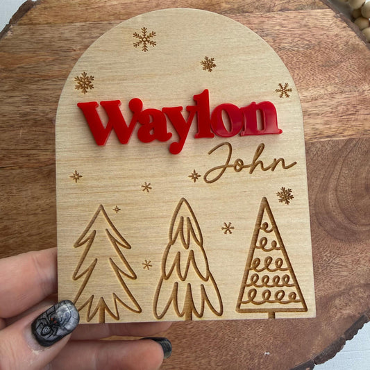 Festive Winter Baby Name Sign: Christmas Announcement Plaque for Newborn Hospital Photos & Welcome