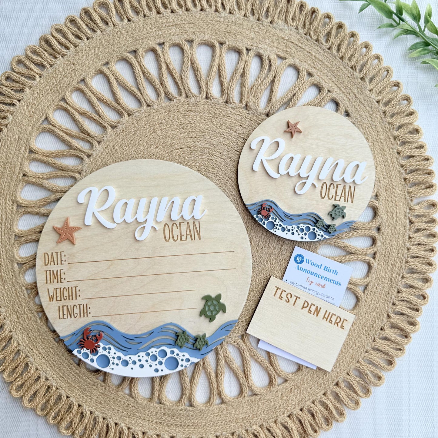 Beach Theme Baby Name Sign with Sea Turtles, Crab and Star Fish